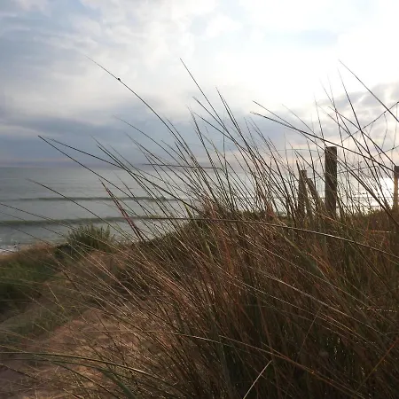 Ile De Lumiere